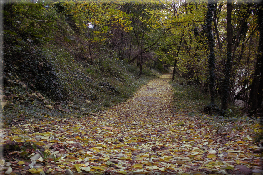 foto Paesaggi Autunnali